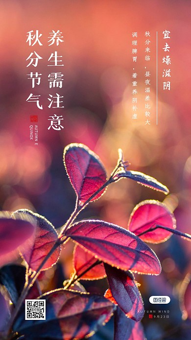 简约清新秋分节气养生需注意摄影图海报