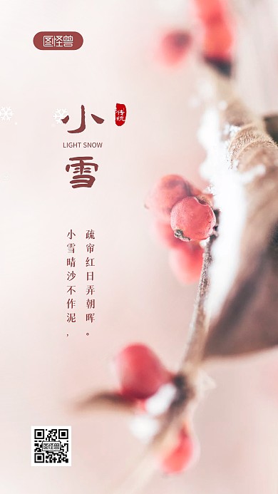 简约清新唯美小雪节气祝福问候摄影图海报