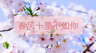春风十里不如你