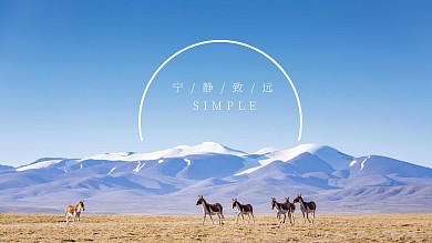 简约大气静物生活文艺极简风电脑桌面