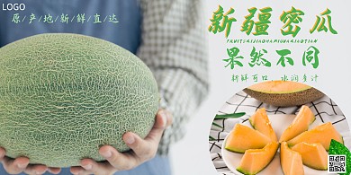 密瓜大气绿色营销横版海报
