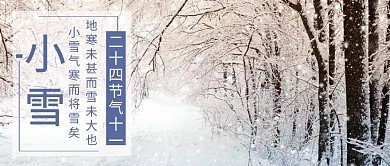 绿色简约卡通小雪二十四节气公众号封面