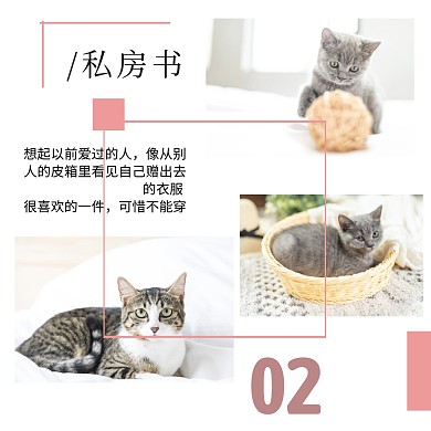 日系唯美小清新樱花小猫咪公众号配图