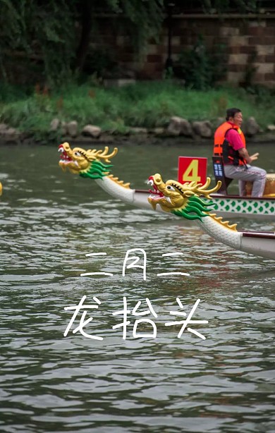 中国风剪纸喜庆二月二龙抬头海报H5模板