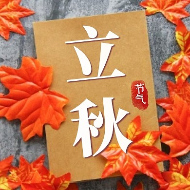 摄影立秋书本枫叶节气祝福公众号封面次图