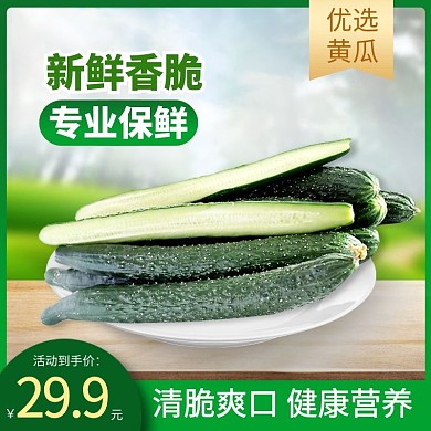 自然蔬菜黄瓜直通车主图