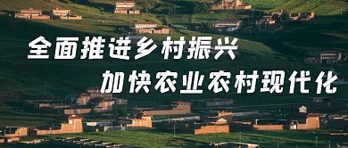 全面推进乡村振兴，加快农业农村现代化