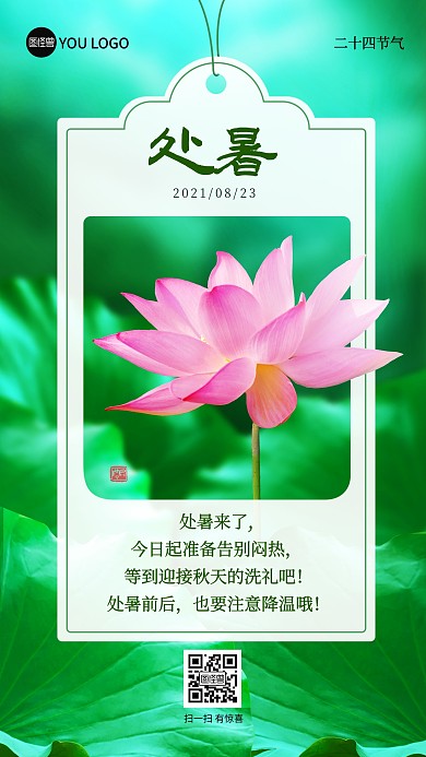原创二十四节气处暑荷花摄影图海报