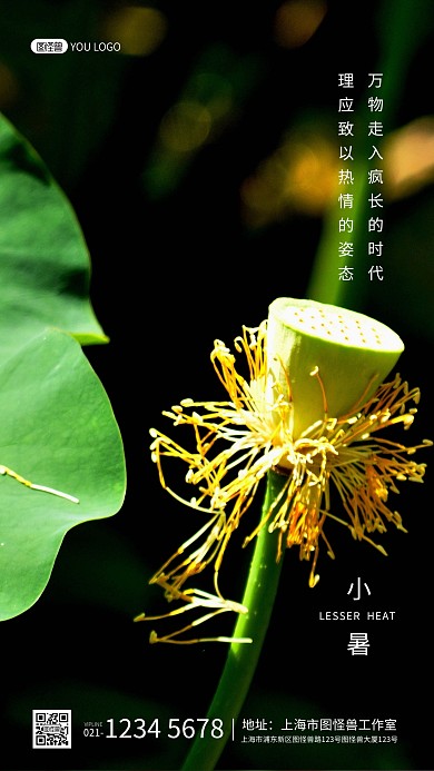小暑节日节气简约大气摄影图手机海报