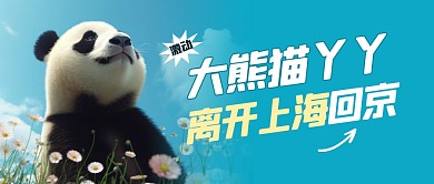 丫丫离开上海回京公众号封面首图