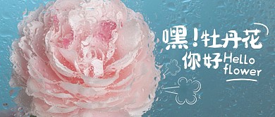 牡丹花公众号封面首图