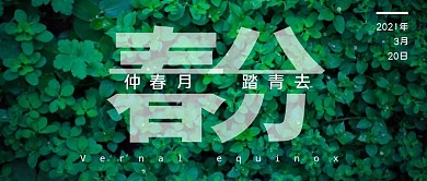 大自然简约24节气微信公众号封面首图