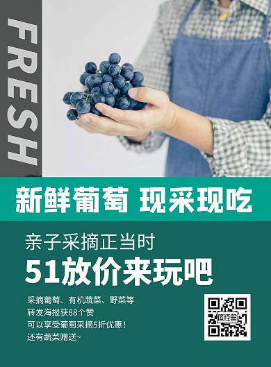 简约大气摄影风葡萄采摘旅游宣传海报