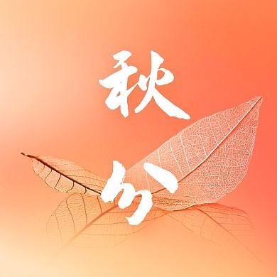 渐变叶脉秋分节气品牌借势公众号封面次图
