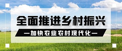 全面推进乡村振兴加快农业农村现代化公众号