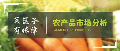 农产品蔬菜绿色摄影风市场资讯公众号首图