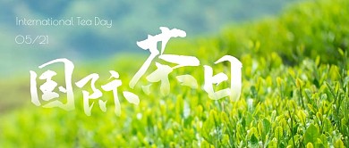 国际茶日公众号封面首图