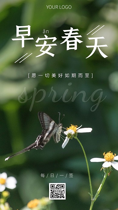 简约风摄影图早安春天美好生活日签
