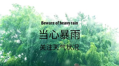 暴雨简约关注天气公众号封面模版