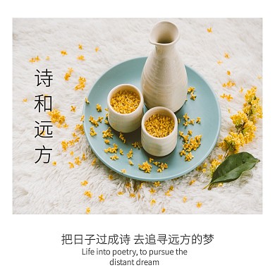 诗和远方