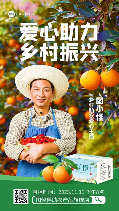助力乡村振兴电商带货宣传直播海报
