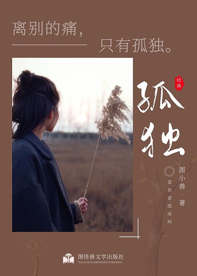 孤独中国文学书籍封面