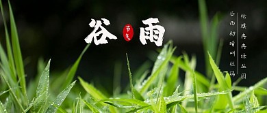 简约摄影风谷雨节气公众号封面首图