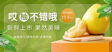 水果柚子蜜柚生鲜食品促销banner