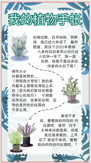 植物花朵草地植物园绿色清新边框手帐手账