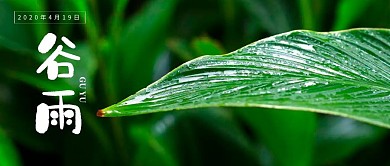 谷雨红包公众号封面图