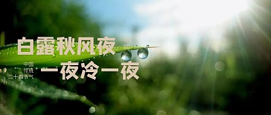 创意中国风白露节气公众号封面