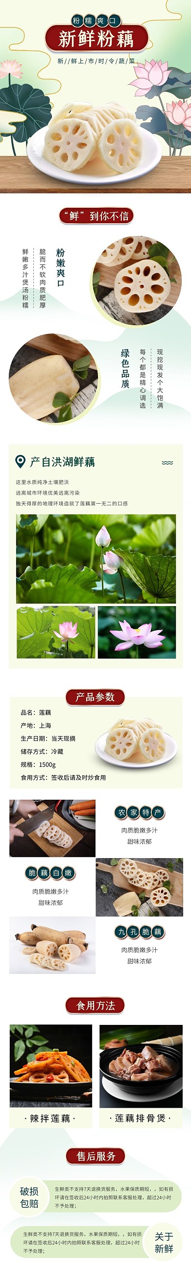 莲藕手绘清新绿色时令蔬菜食品详情页