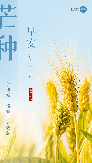 简约大气芒种节气日签摄影图海报