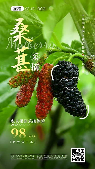 农夫果园桑葚采摘促销宣传摄影图海报设计
