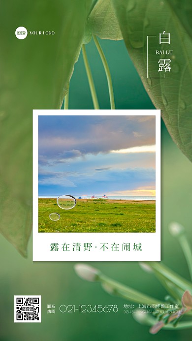 清新创意摄影白露节气旅游借势宣传手机海报