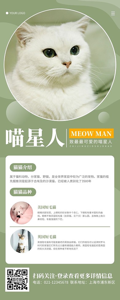 小清新黄绿色猫猫介绍营销长图