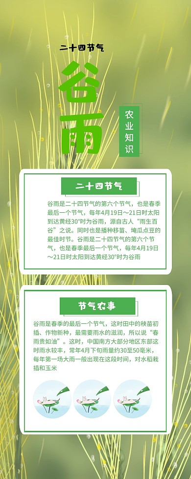 绿色清新谷雨农业知识长图