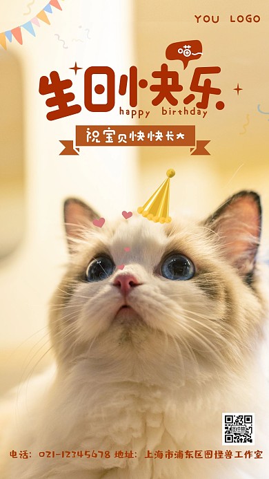 猫咪宠物生日祝福可爱摄影风海报