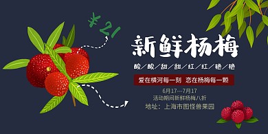 新鲜水果杨梅宣传海报