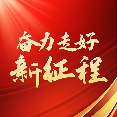 奋力走好新征程红金大气方形海报