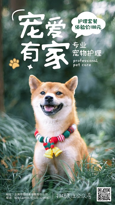 宠物体检套餐纯色大气手机摄影图海报
