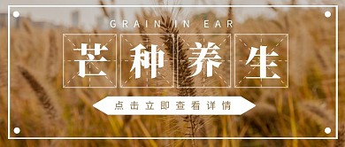 芒种养生二十四节气简约摄影公众号封面首图