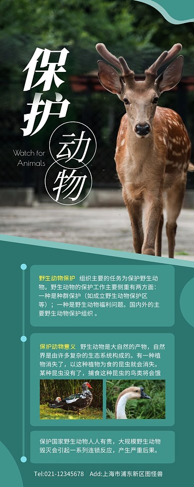 绿色摄影风保护动物海报长图模板营销长图