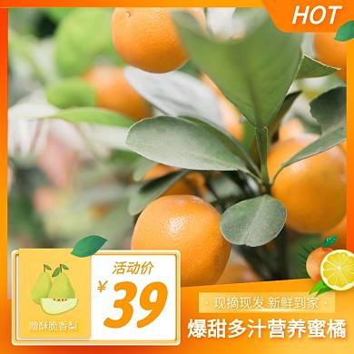 橘子简约大气橙色主图直通车