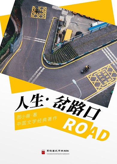 人生·岔路口中国文学书籍封面