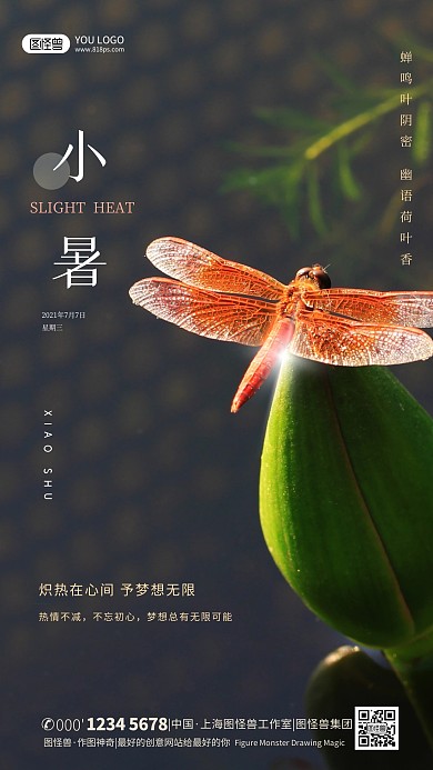 小暑节日节气宣传摄影图手机海报