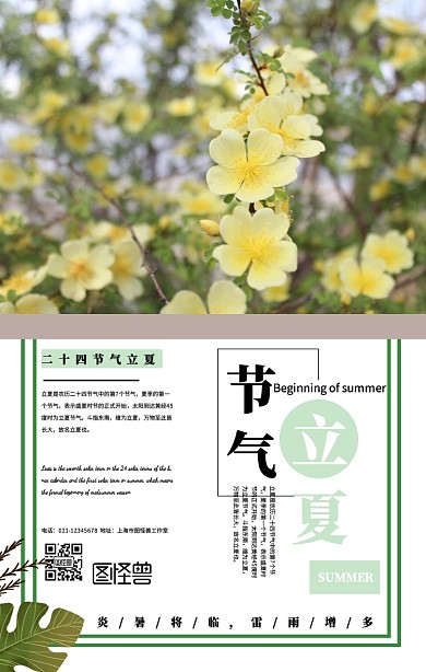 绿色摄影风清新立夏节气海报