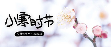 摄影风小寒节气传统节气公众号封面
