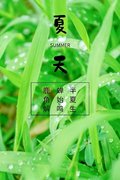 夏天红包公众号配图