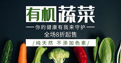 有机蔬菜简约黑色轮播图电商海报